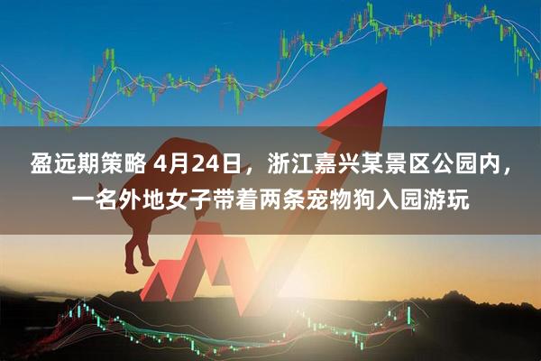 盈远期策略 4月24日，浙江嘉兴某景区公园内，一名外地女子带着两条宠物狗入园游玩