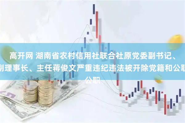 高开网 湖南省农村信用社联合社原党委副书记、副理事长、主任蒋俊文严重违纪违法被开除党籍和公职
