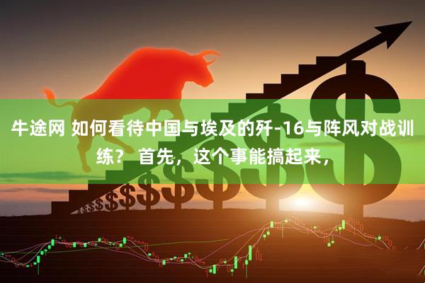 牛途网 如何看待中国与埃及的歼-16与阵风对战训练？ 首先，这个事能搞起来，
