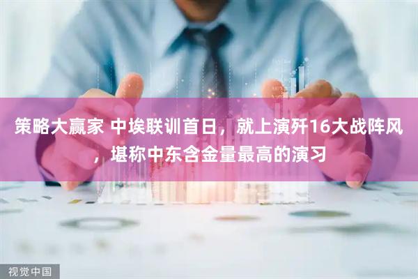 策略大赢家 中埃联训首日，就上演歼16大战阵风，堪称中东含金量最高的演习